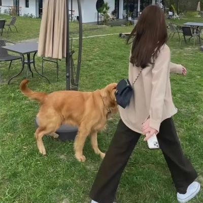 泰德与维纳斯