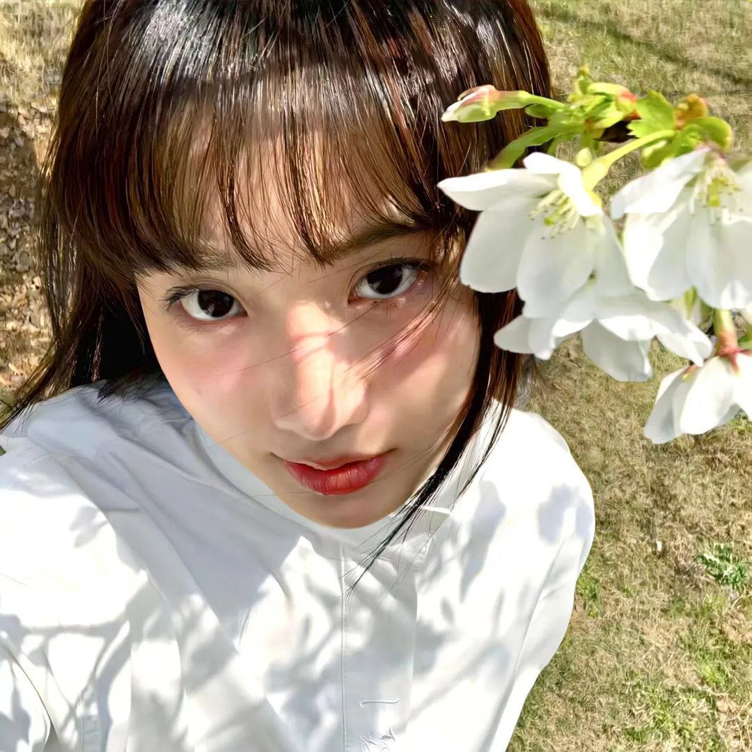 新版绿野仙踪